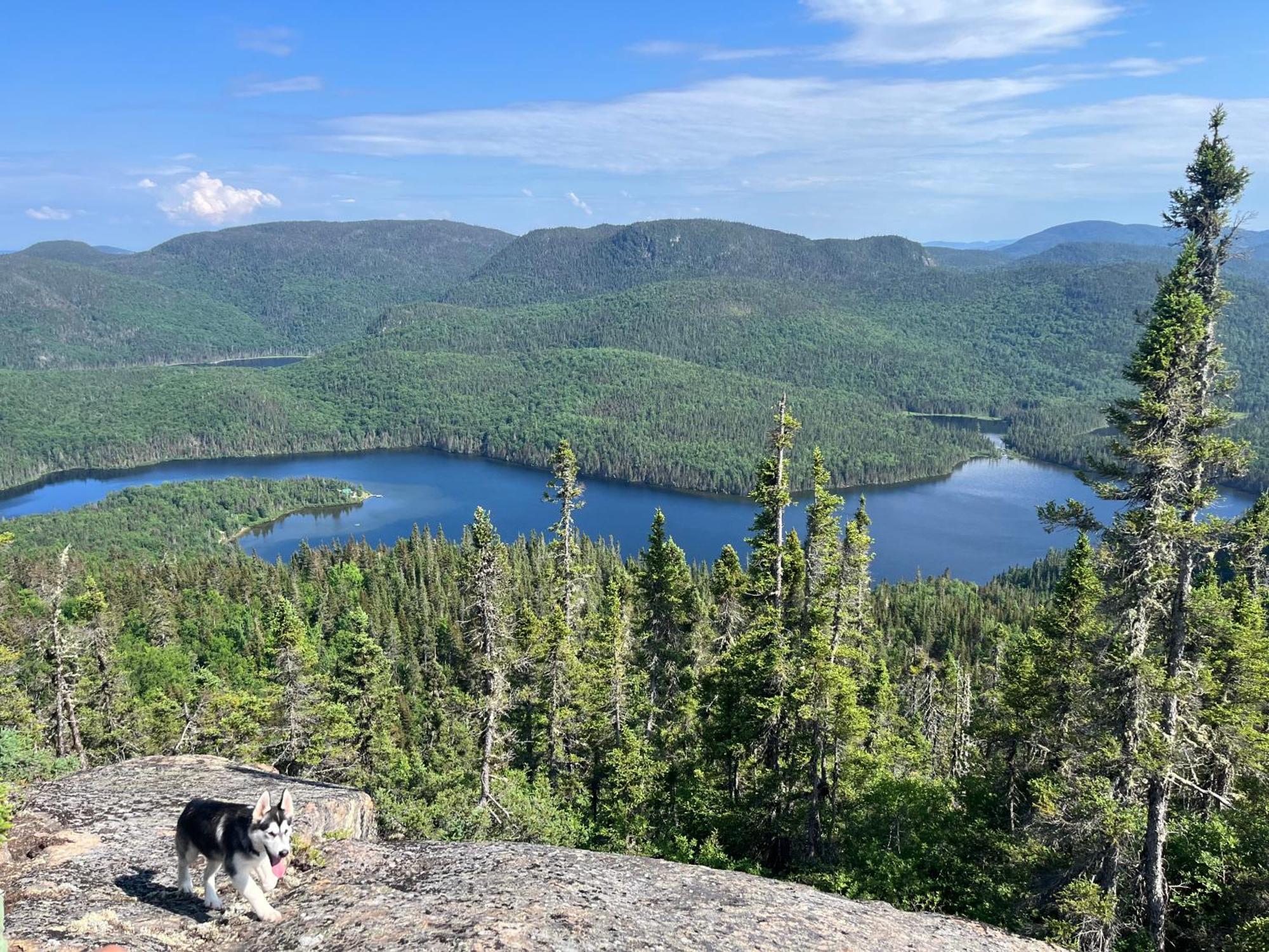Auberge Boreale De Charlevoix Petit-Saguenay Esterno foto